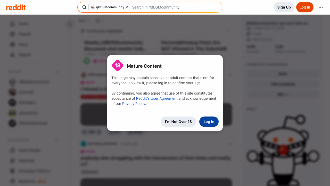 r/BDSMcommunity subreddit screenshot