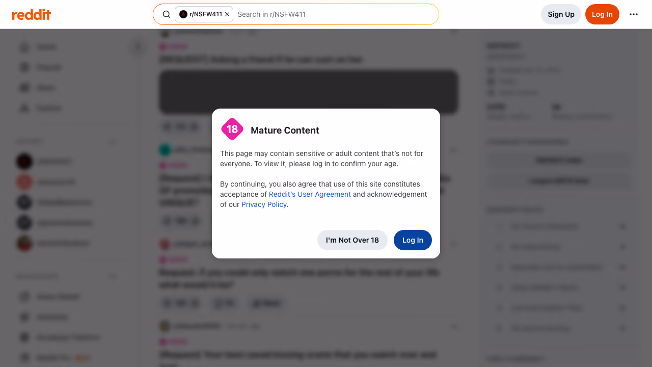 r/NSFW411 subreddit screenshot