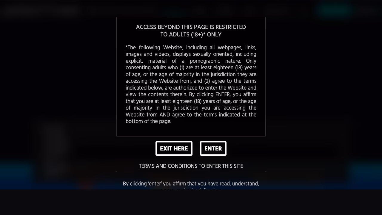 Adult Time screenshot